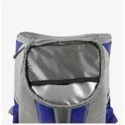 Outlet 🥰 Disney Mickey Mouse NFL Dallas Cowboys Cooler Backpack ⭐ -Mickey Mouse Store 19831711 av2